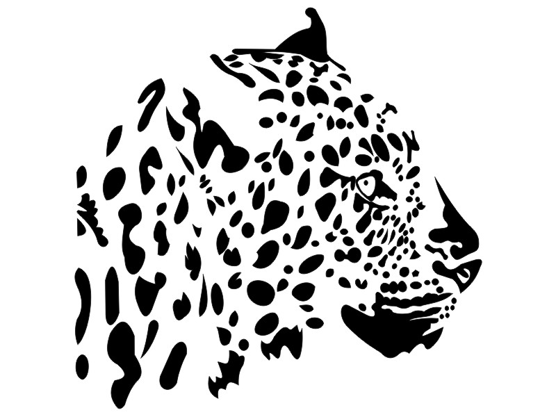 leopard_fej