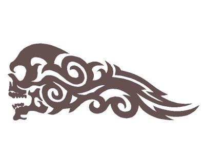 koponya_hossz_barna_191116034