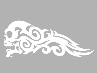 koponya_hossz_fehr_2011811283