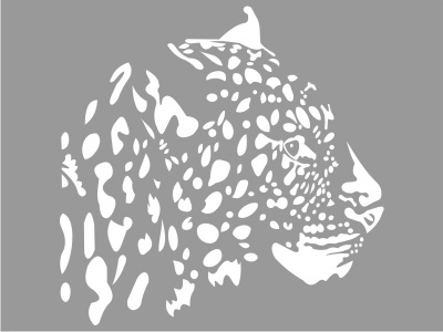 leopard_fej_fehr