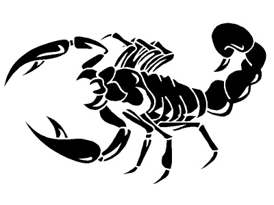 skorpi__fekete_909849872