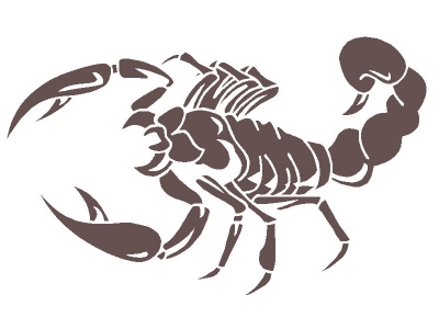 skorpi_barna_1966036054