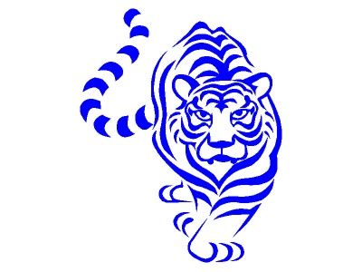 tigris_kk_1625671337